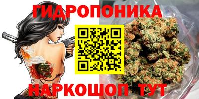 прущие грибы Кинель