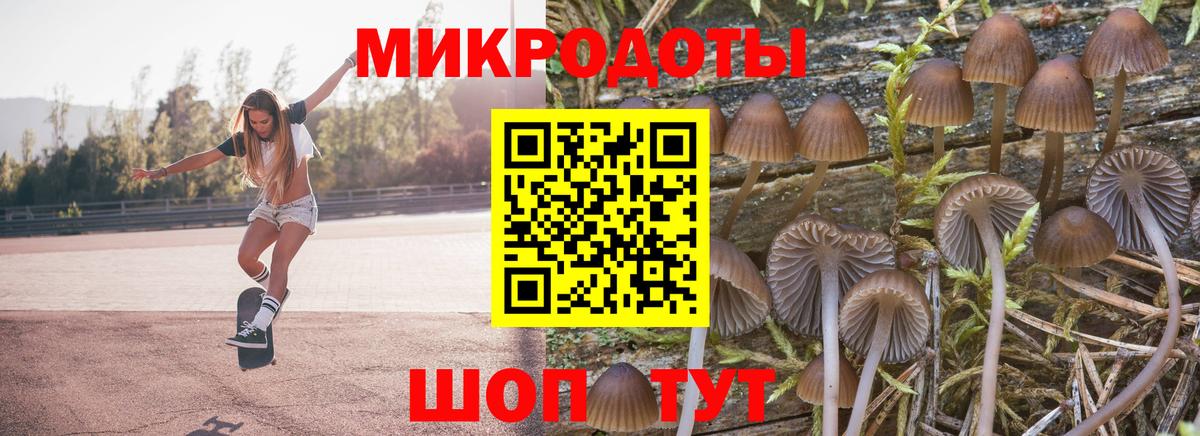 Галлюциногенные грибы мухоморы  Псилоцибиновые грибы Psilocybe  Конаково  Вход с VPN 